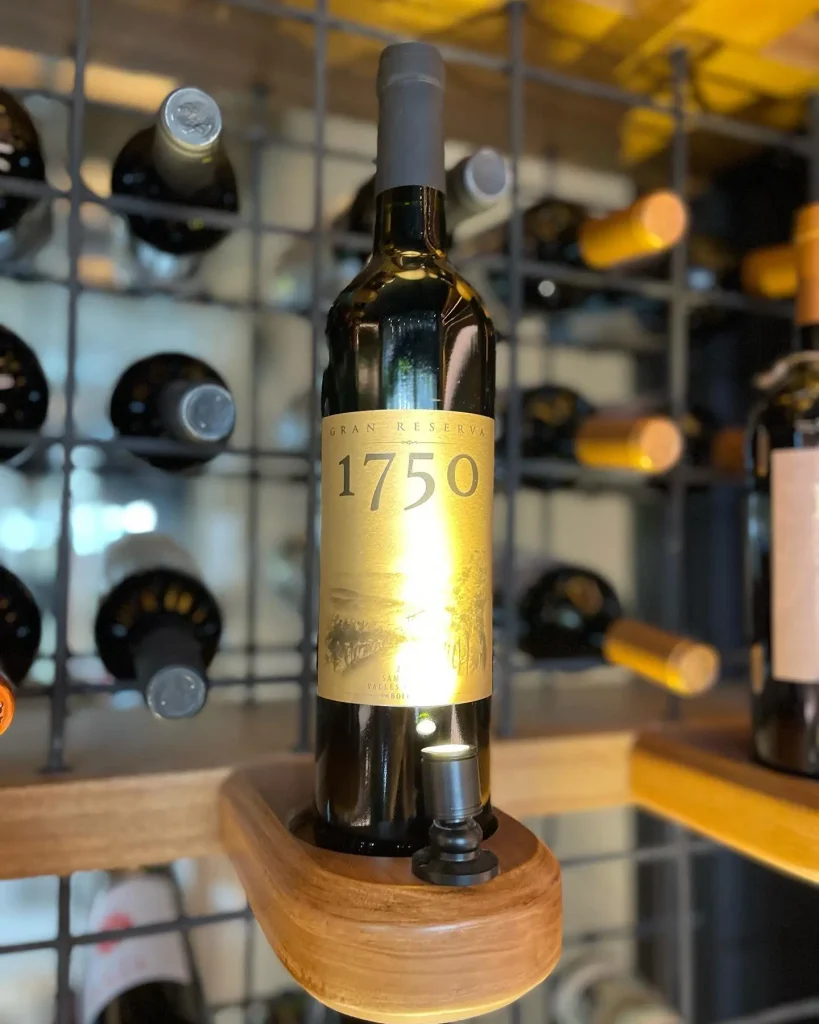 TINTO meats & wines - Wine Cellar