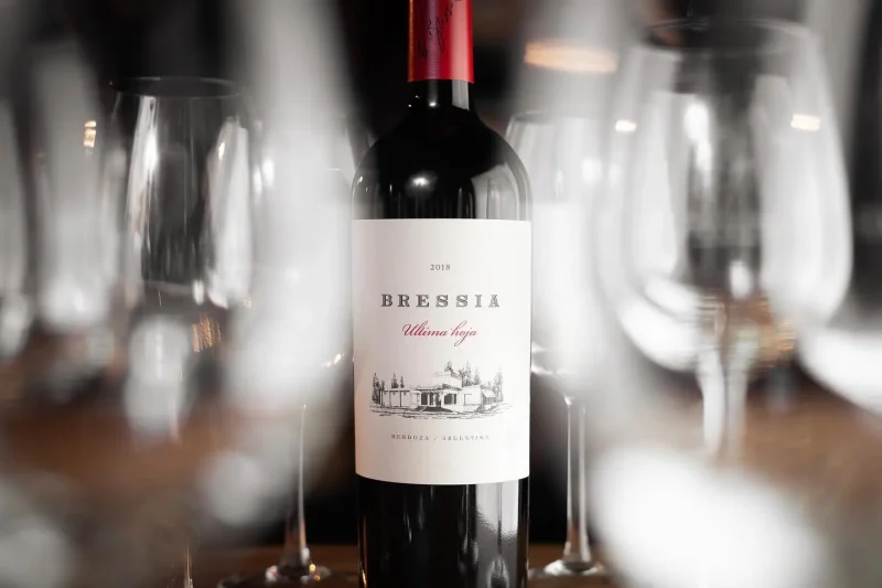 TINTO Authorized Distributor for Bolivia of Bodega Bressia.