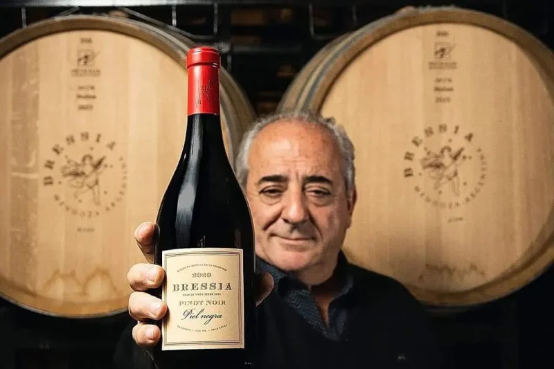 TINTO Authorized Distributor for Bolivia of Bodega Bressia.